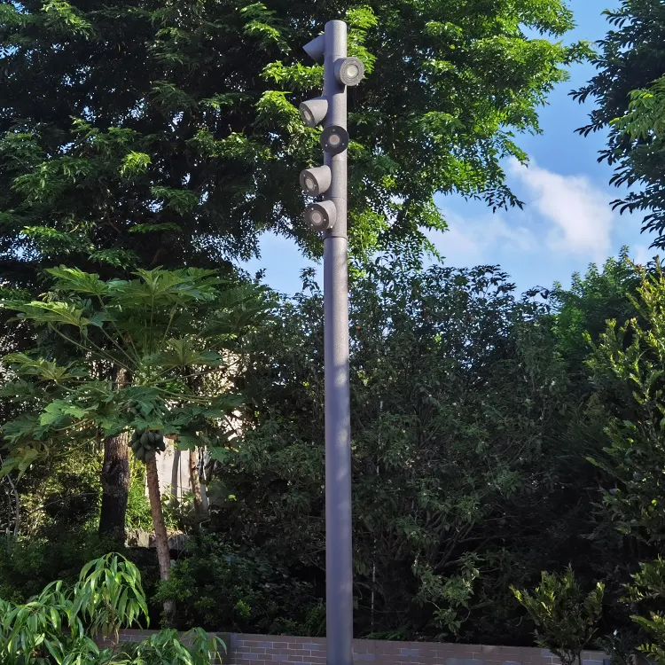Wholesale Customized Good Quality High Pole Landscape Led Garden Light (5)